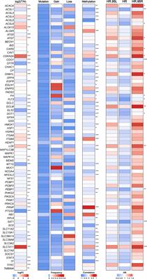 The Identification and Validation of Two Heterogenous Subtypes and a Risk Signature Based on Ferroptosis in Hepatocellular Carcinoma